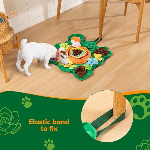 Snuffle Mat for Dogs