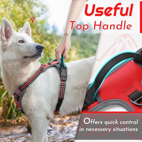 Dog Harness for Small Dogs (Small / Red)