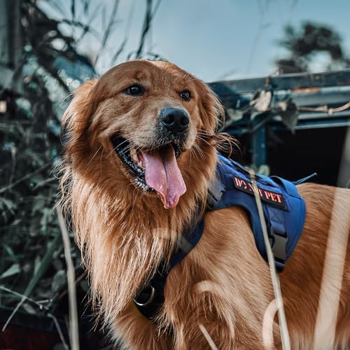 Tactical Dog Harness No (Medium / Blue)
