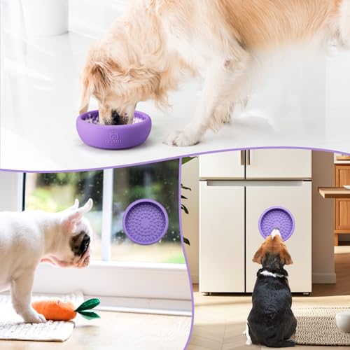 Dog Lick Bowl (Small / Purple)