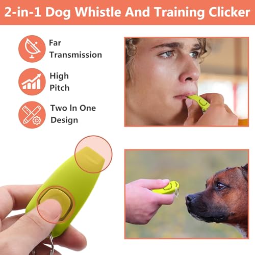 Dog Training Kit (Grey)