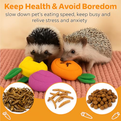 5Pcs Hedgehog Foraging Toy