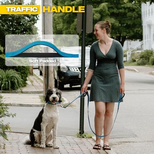 10 FT Heavy Duty Dog Leash (10 Feet (Pack of 1) / Blue)