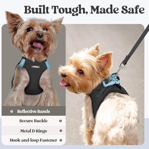 Dog Harness Small Sized and Leash Set (Black / Xs (chest: 13.3 - 15.5"))