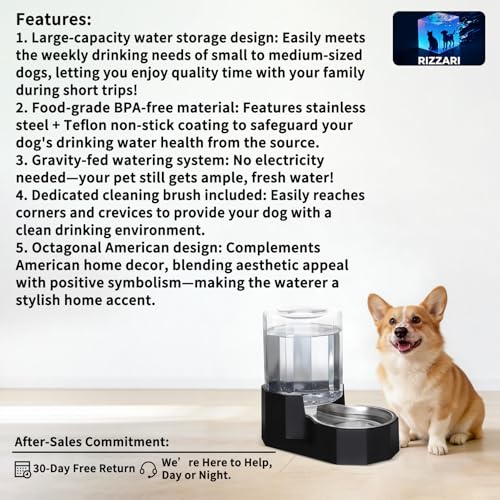 5L Cat Gravity Water Bowl Dispenser (Black / 5L Without Filter)
