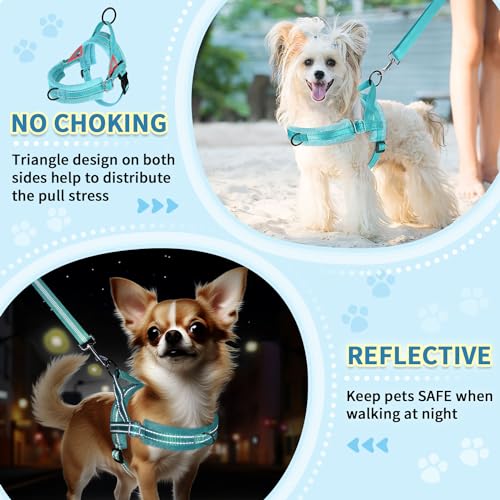 No Pull Small Dog Harness and Leash Set with Front Clip (Small / Teal)