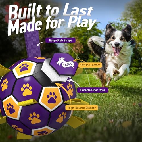 Dog Balls Toys (Purple Yellow / 6 Inch)