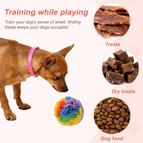 Snuffle Ball for Dogs (Bright Rainbow / Small)