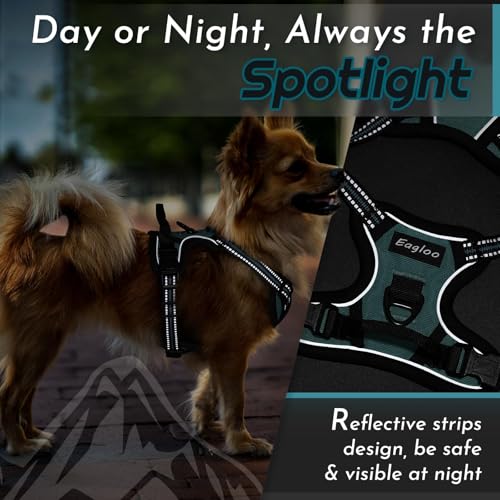 Dog Harness for Small Dogs (X-Small / Dark Green)