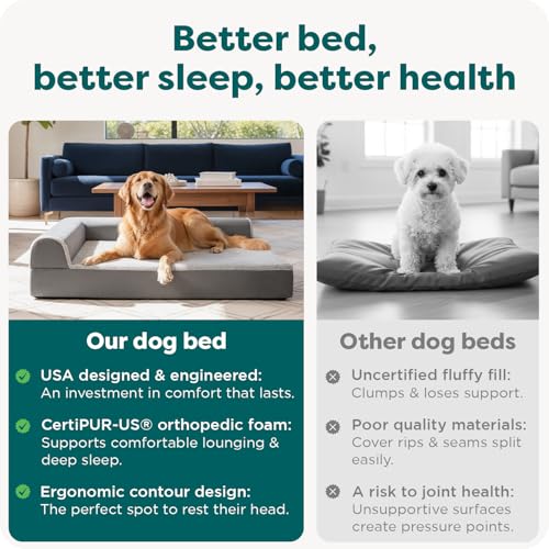 Orthopedic Dog Bed for Large Dogs w (Jumbo / Stone Gray)