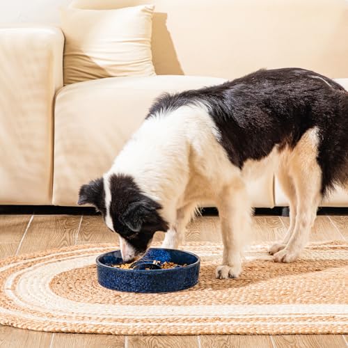 Slow Feeder Dog Bowl (L - 3 Cups / Blue)