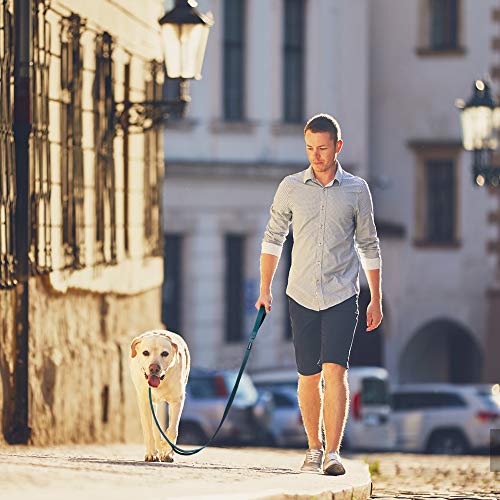 4FT Heavy Duty Dog Leash with Soft Padded Double Handle (4 FT x 1 in Wide / Blue)