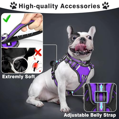 Pet Harness Collar and Leash Set (X-Large / Purple)