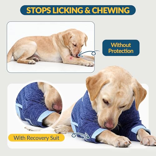 Dog Shirts for Large Dogs to Stop Licking Leg Protectors (3XL / Blue)