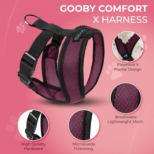 Comfort X Head (X-Large Chest (20.5-28") / Purple)