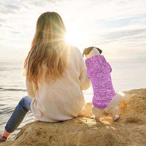 Dog Sweaters for Medium Dogs (Medium / Purple)