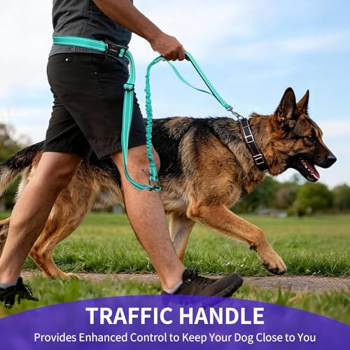 Hands Free Dog Leash by Kazazoo (GREEN Bungee / M)
