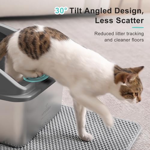 Stainless Steel Litter Box (Dark Grey / XX-Large)