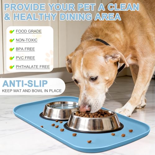 Waterproof Silicone Pet Food Mat with Raised Edge for Dog & Cat (Light Blue / 24"L x 16"W)