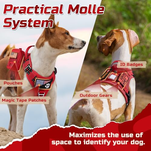 Tactical Dog Harness for Small (Red / Small)