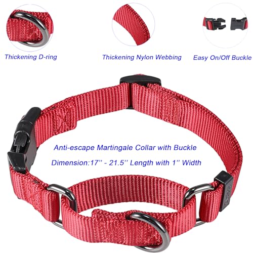 Nylon 12 Inches Dog Short Leash with Anti (12" Leash and Martingale Collar Combo / Chili Pepper)