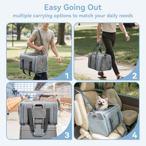 Large Double Expandable Cat Carrier for Large Cats and Small Dogs (19.0"L x 12.0"W x 12.0"H / Light Grey)