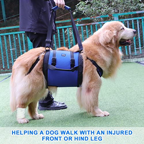 Dog Carry Sling (Blue / XL)