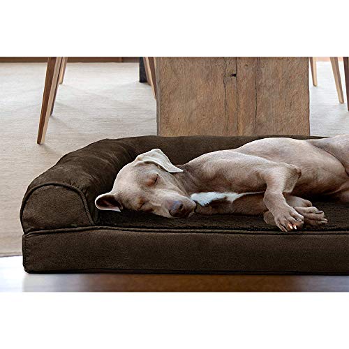 Orthopedic Dog Bed for Large Dogs w (Jumbo Plus / Espresso)