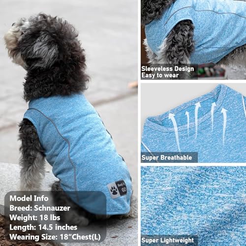 Reflective Dog Shirt (Small (4-7lbs) / 1#Blue)