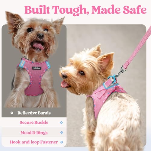 Dog Harness Small Sized and Leash Set (Pink & Plaid Trim / Xs (chest: 13.3 - 15.5"))