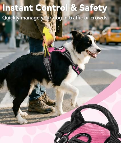 No Pull Dog Harness for Small Dogs (Small / Pink)
