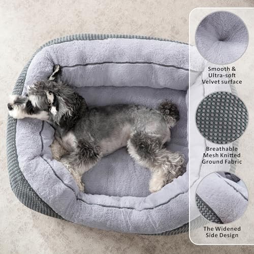 Small Dog Bed for Small Dogs (S (20"x19"x6") / Grey)