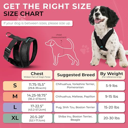 Black X Large Polyester Comfort X Harness for Small Dogs (X-Large Chest (20.5-28") / Black)