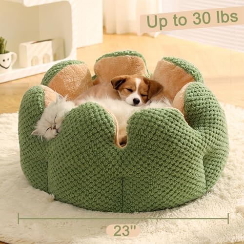 Cute Cat Beds Kitten Beds (Medium / Green)