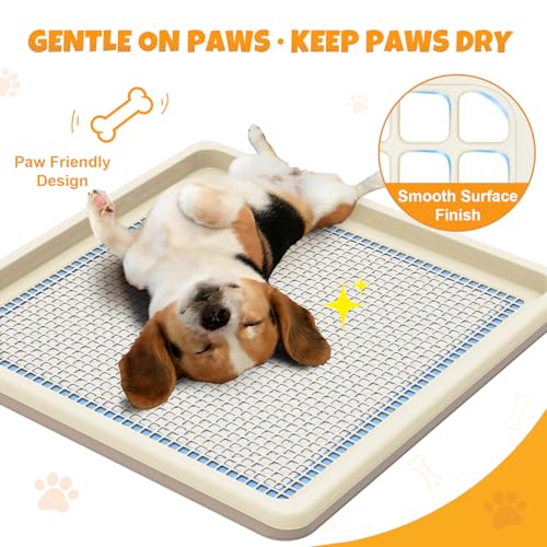 Dog Potty Tray Fits 22 x 22 In Pee Pad
