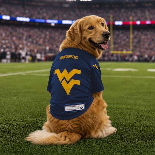 NCAA West Virginia Mountaineers Stretch Pet Jersey (West Virginia Mountaineers / Small)