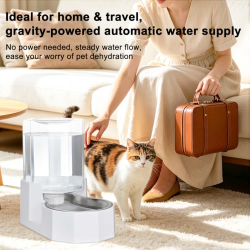 4L Stainless Steel Gravity Water Dispenser (White / 4L Without Filter)