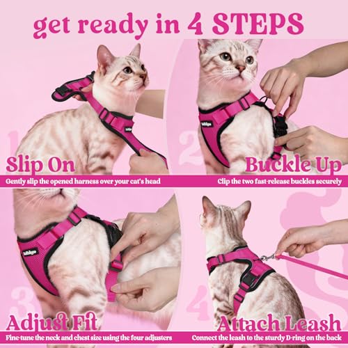 Cat Harness and Leash Set (Xs / Rose Red)