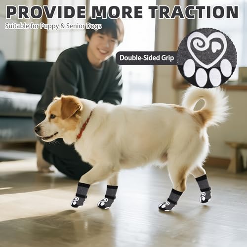 Dog Socks for Hot (Dark Grey / Large (4 Pack))