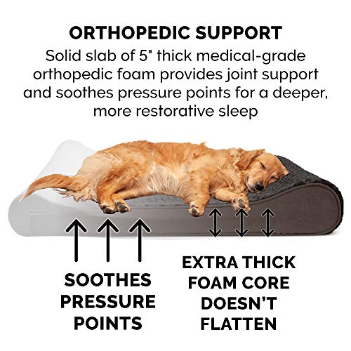 Orthopedic Dog Bed for Extra Large Dogs w (Giant/XXXL / Chocolate)