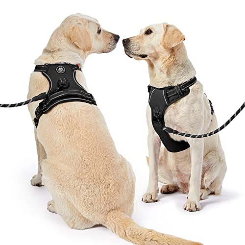 Dog Harness for Small Sized Dog (Black / X-Small)