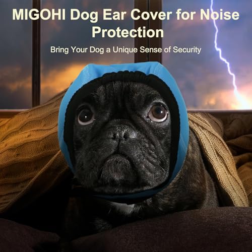 Dog Ear Muffs Noise Protection (L / Lake Blue)