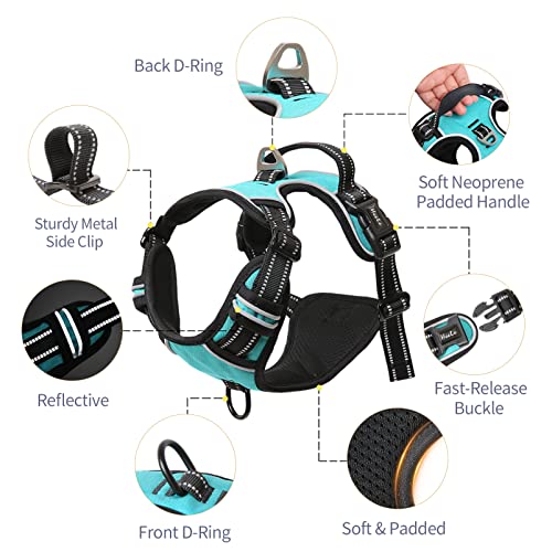 Dog Harness Dog Harness Small Dog No Pull Harness wiht Soft Handle Reflective Harness Adjustable (S / Turquoise)