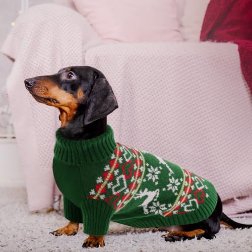Dog Christmas Sweater (X-Small / Christmas Green)
