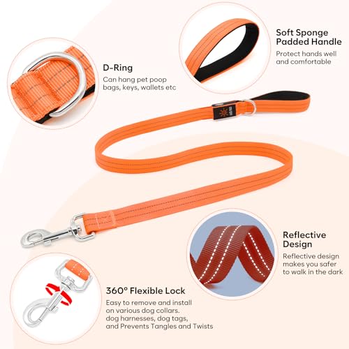 LED Dog Leash (Orange)