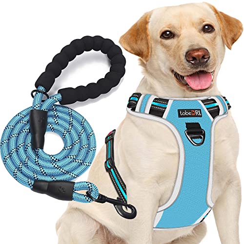 No Pull Dog Harness Adjustable Reflective Oxford Easy Control Medium Large Dog Harness with A Free Heavy Duty 5ft Dog Leash (Blue/Grey / Large)