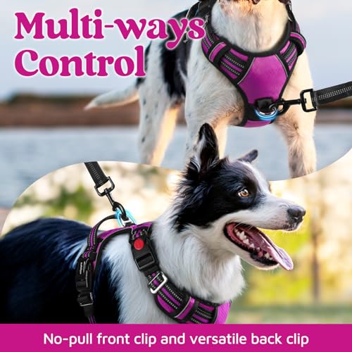 Dog Harness Medium Sized (Purple / Medium)