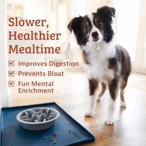 Slow Feeder Dog Bowls (1.5 Cup / Blue)