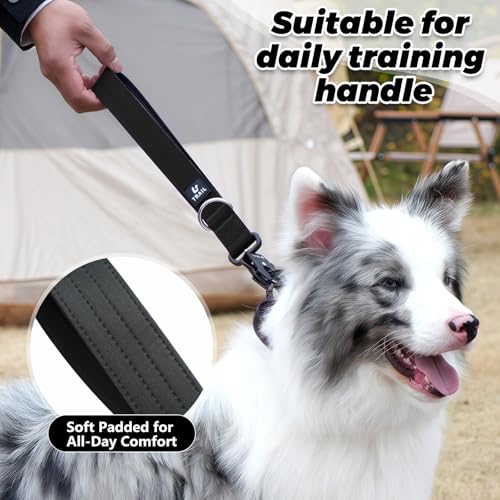 14 Inch Traffic Dog Leash with Padded Handle (Black)