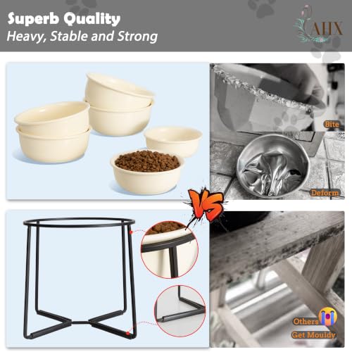 Ceramic Elevated Dog Food Bowl (Beige / XL)